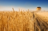 Присяжнюк "накинул" 2,5 тонны зерна к запланированному урожаю