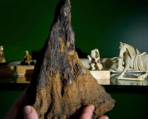 У Лондонському музеї грабіжники викрали фальшивий ріг носорога