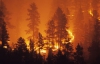 Несколько сотен американцев бросили свои дома из-за масштабных пожаров