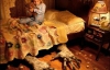 Українцям порадили частіше заглядати під ліжко - раптом там АК або наркотики