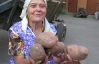 Пенсіонерка виростила майже півтора кілограмову картоплину-гіганта