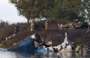 Причини авіакатастрофи під Ярославлем: відмова техніки чи неякісне паливо