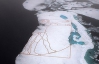 На арктичних льодах художник зобразив гігантську копію малюнка да Вінчі