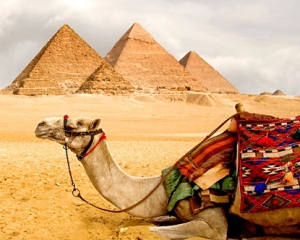 Египет планирует ужесточить визовый режим