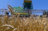 Украина намолотила уже 35,3 миллиона тонн зерна