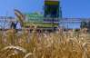 Україна намолотила вже 35,3 мільйона тонн зерна