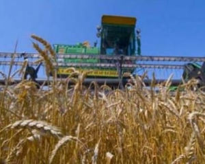 Украина намолотила уже 35,3 миллиона тонн зерна