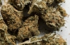 Наркокур'єрів засудили до 8 років за контрабанду 18 кг марихуани