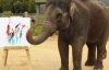 В британском зоопарке слониха рисует картины ко Дню благодарности слонам
