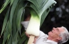 Чоловік виростив найбільшу в світі 9-кілограмову цибулину