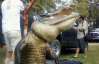 Американский студент поймал 360-килограммового крокодила