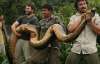 29-летний мужчина поймал 100-килограммовую анаконду