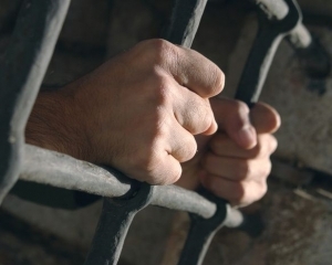 Нардепи спитали у Пшонки, чому СБУ тероризує "васильківських терористів"