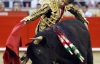 Тореадоры убили 6 быков во время последней корриды в Барселоне