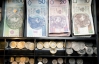Польщі загрожує боргова криза, злотий обвалився відносно долара та євро