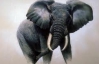 Разъяренный слон напал на украинских туристов в Таиланде