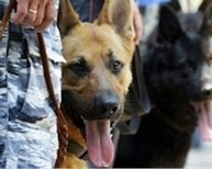 8-річну вінничанку правоохоронці шукали разом із собаками
