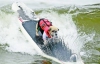 В чемпионате по собачьему серфингу принимали участие 24 собаки 