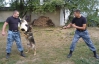 Прикарпатських собак активно готують до Євро-2012 