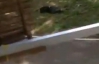 В Сеть попало видео, как убивали киллера Дикаева