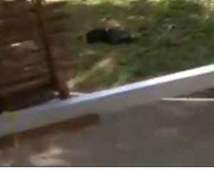 В Сеть попало видео, как убивали киллера Дикаева