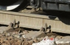 Пассажирский поезд сбил 9-летнюю одесситку
