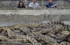 С тайской фермы сбежала сотня крокодилов