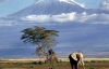 84-летний пенсионер поднялся на Килиманджаро