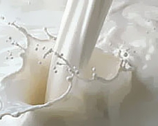 Киевляне пьют молоко с кишечной палочкой