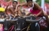 Самый быстрый всадник Таиланда, оседлавший буйвола, получил награду $ 320