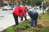 К приезду Януковича в Каменец-Подольский коммунальщиков заставили под дождем сажать цветы