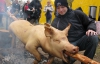 На фестивале свинины кормят кулешом и смотрят "поросячьи бега"