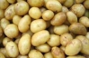В этом сезоне в Украине собрали рекордный урожай картофеля
