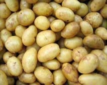 Цього сезону в Україні зібрали рекордний урожай картоплі