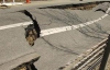 Японию снова сотрясло сильное землетрясение