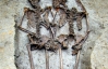 Відкопали скелети закоханої пари, які "тримались" за руки 1500 років