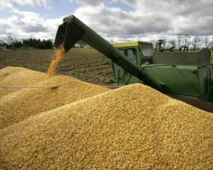 Україна програла Росії першу битву за експорт зерна до Єгипту