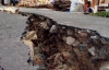 На севере Чили произошло 6-балльное землетрясение