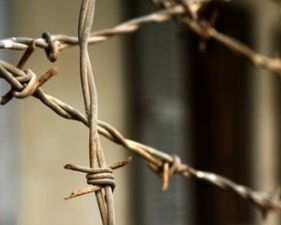 Влада тримає у заручниках американку, аби отримати свідчення проти Тимошенко - "Батьківщина"