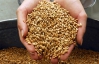 Україні треба знизити ціну на зерно, щоб конкурувати з Росією - експерт