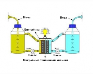 Учені пропонують виробляти електроенергію з сечі