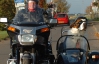 Пес из Великобритании обожает ездить на мотоцикле в шлеме и очках