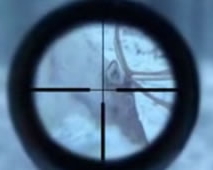 На Полтавщині невідомі з вертольота ледь не постріляли на полі людей