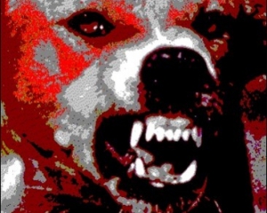 Покусанных бешеной собакой жителей Черкасщины ищут третьи сутки