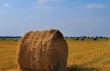 Украина намолотила уже 53,67 миллиона тонн зерна