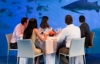 Испанский аквариум предлагает парам обвенчаться в окружении акул