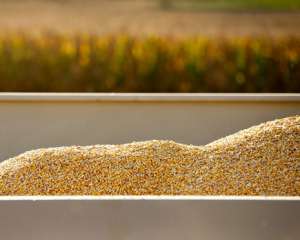 Японія здійснила рекордну закупівлю кукурудзи з України