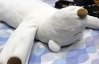 Японці створили ведмедика-робота для боротьби з хропінням