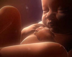 Біологи з'ясували, що плід лікує серце вагітної матері