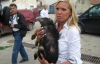 Принцеса приїхала в Київ рятувати бездомних тварин